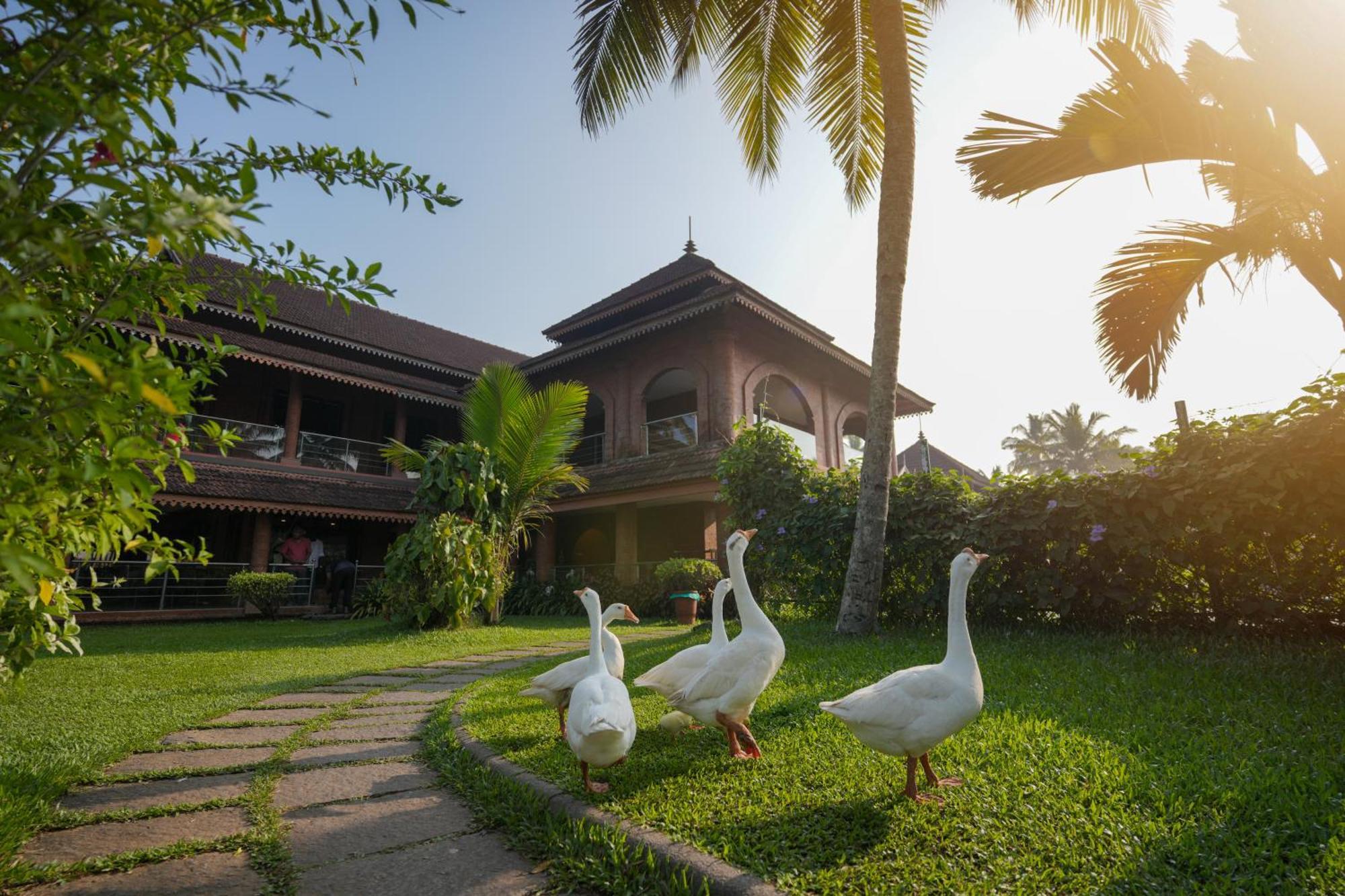 Lakesong Resort Kumarakom Exterior foto